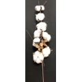 Cotton Flower 24" (8)